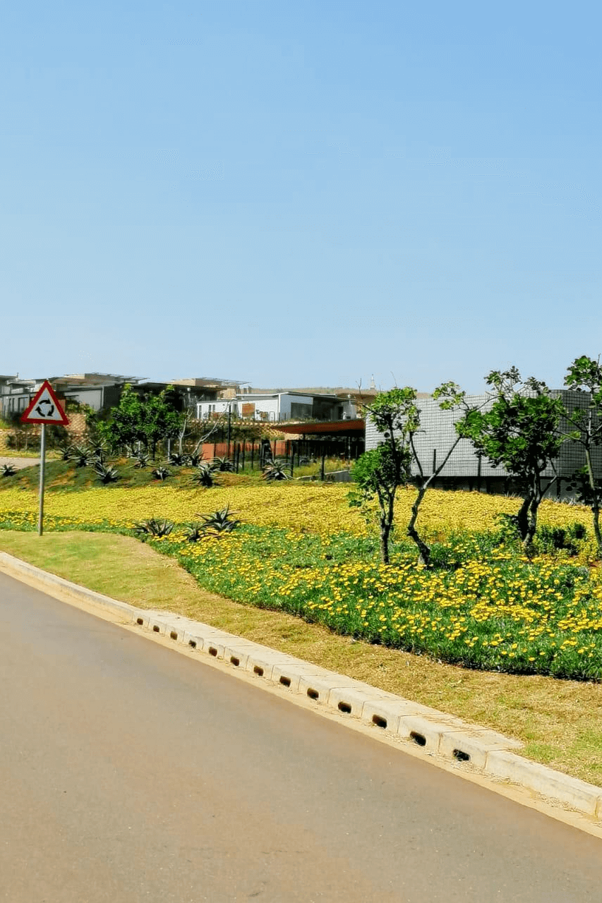 Sibaya Precinct landscaping