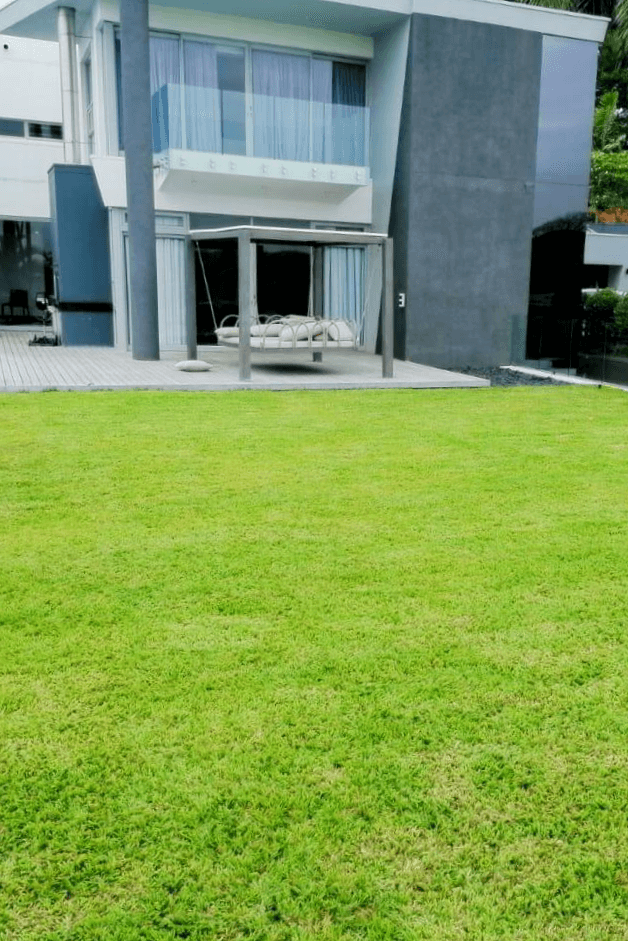 Westville residence garden